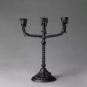John Derian 12x10 Taper Cast Aluminum Macabre-Labra Dripping Candelabra - Target